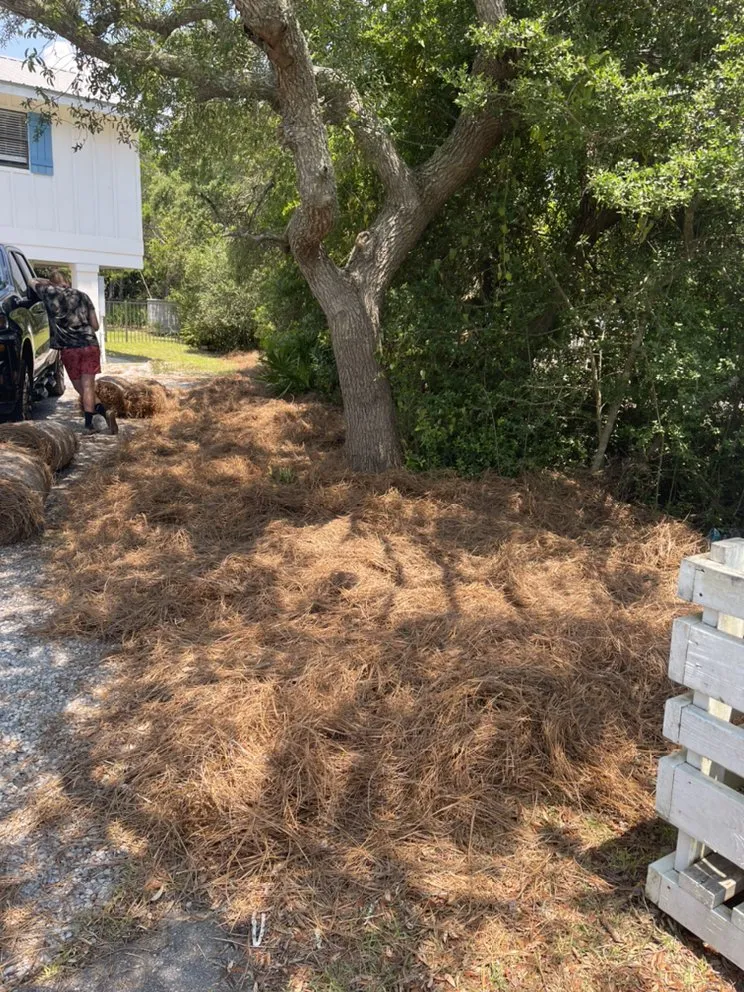 Expert outdoor landscaping in Panama City, FL by Shomper’s Lawn Service