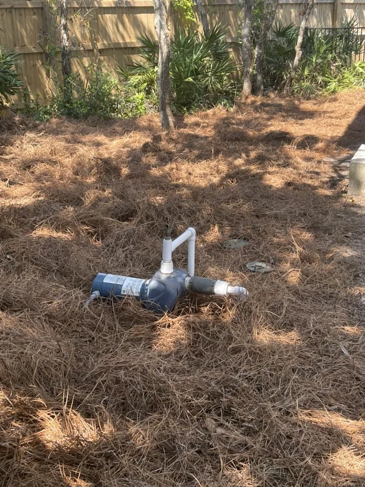 Reliable lawn care service in Panama City, FL - Shomper’s Lawn Service