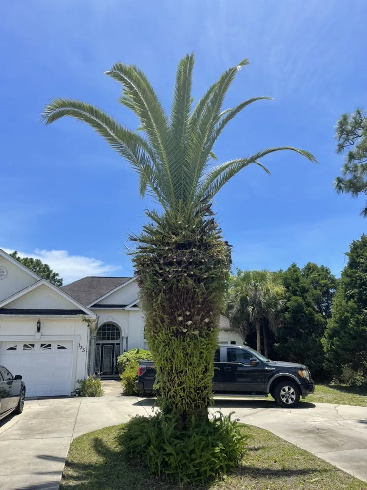 Reliable landscape installation in Panama City, FL - Shomper’s Lawn Service