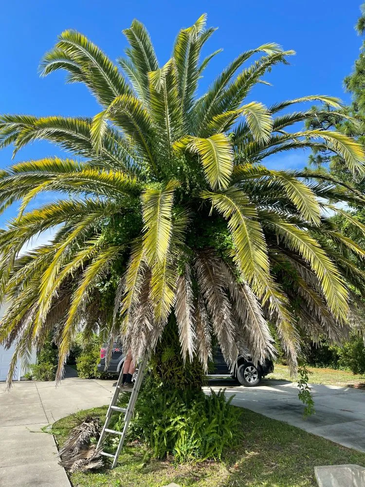 Professional outdoor landscaping in Panama City, FL by Shomper’s Lawn Service