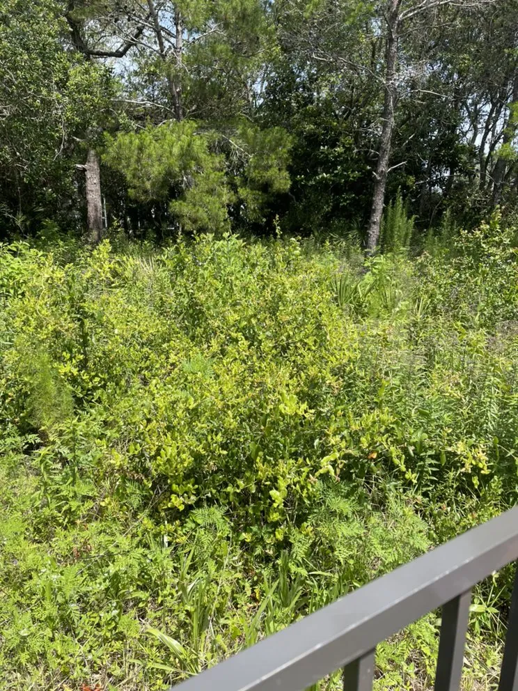 Reliable lawn care service in Panama City, FL by Shomper’s Lawn Service