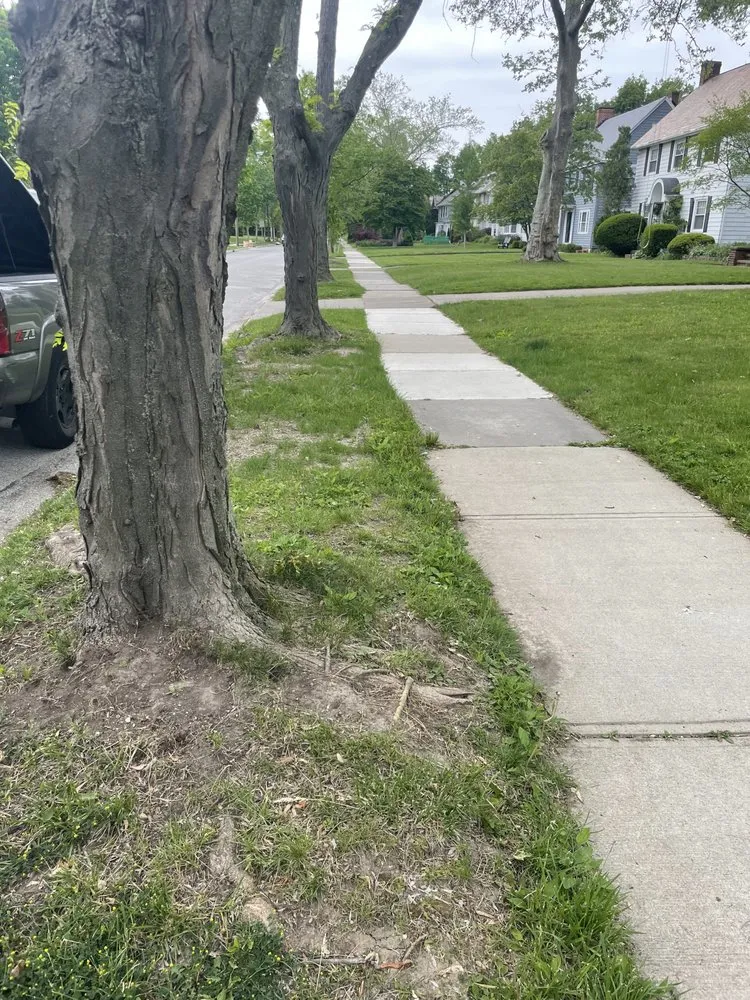 Top-rated landscaping services in South Euclid, OH by Shonmeka Knowles