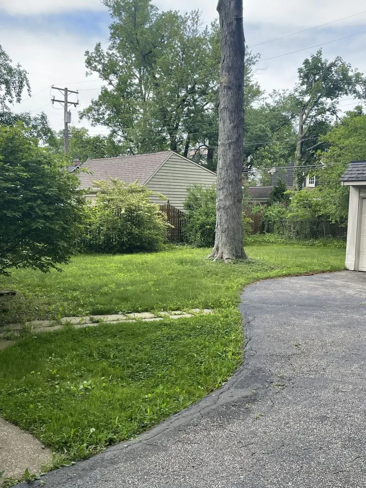 Professional yard cleanup service in South Euclid, OH - Shonmeka Knowles