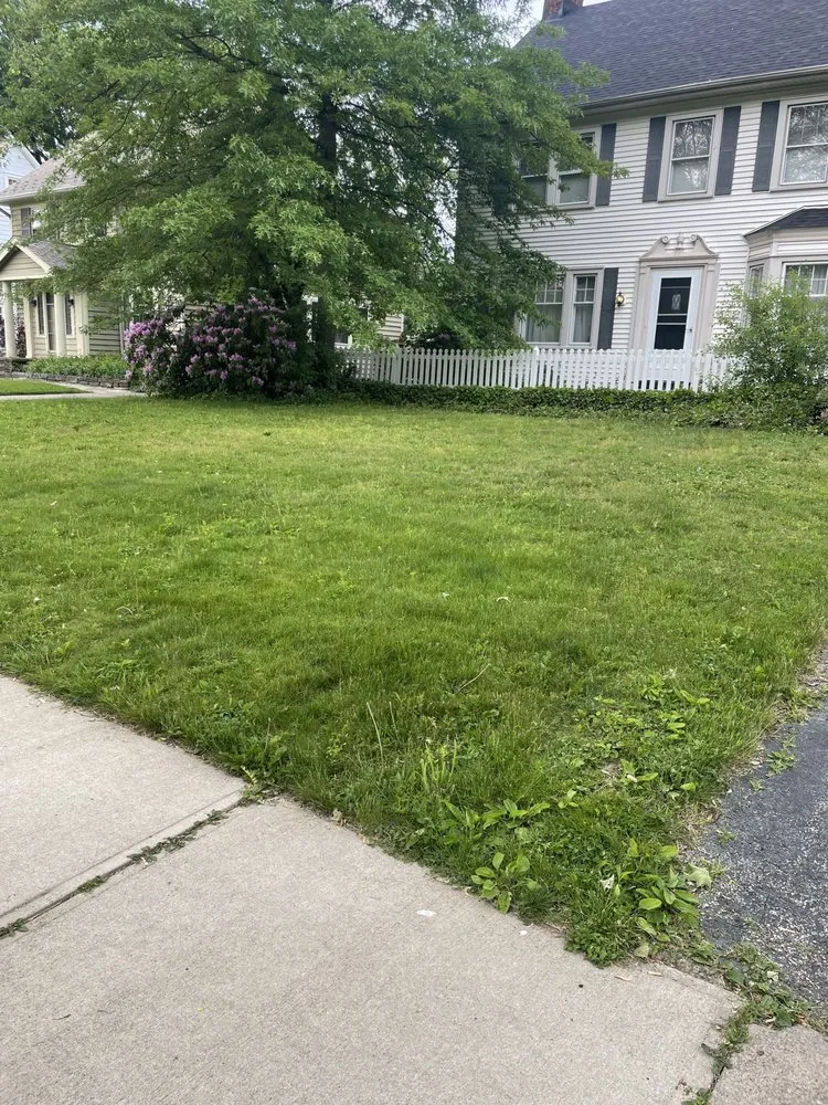 Expert landscape design for outdoor upgrades in South Euclid, OH by Shonmeka Knowles