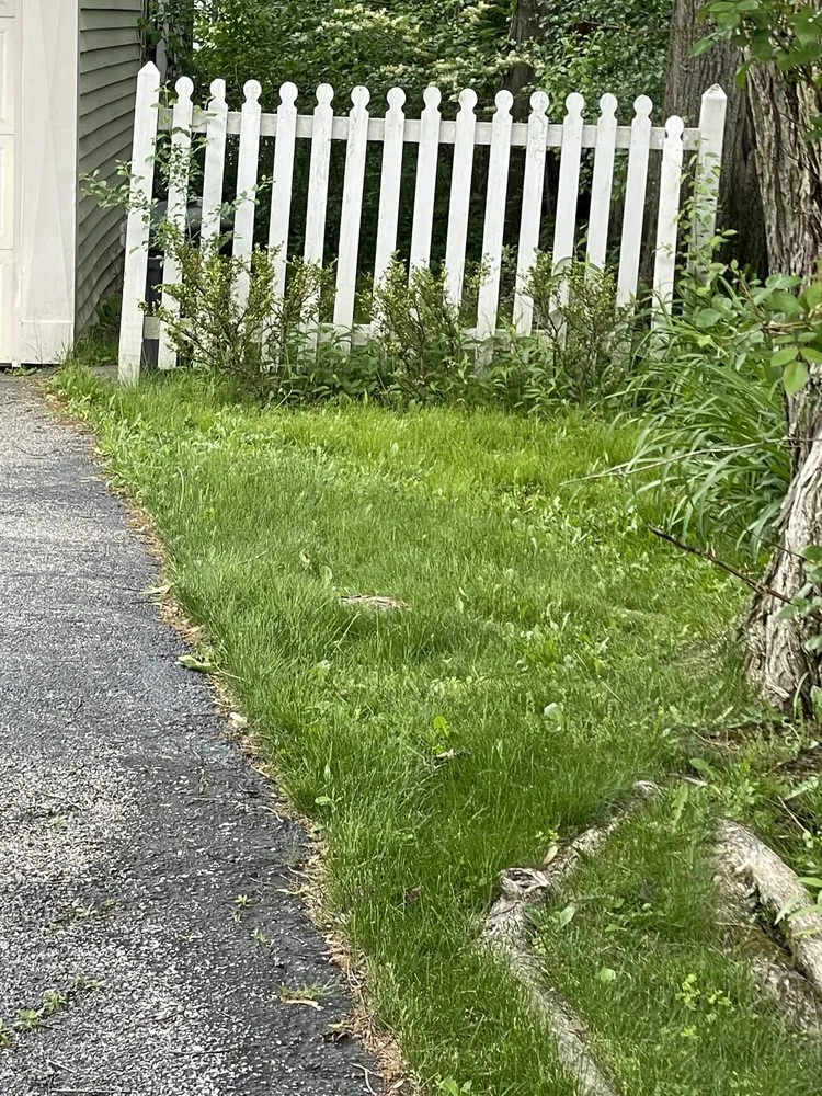 Local outdoor landscaping with custom design in South Euclid, OH by Shonmeka Knowles