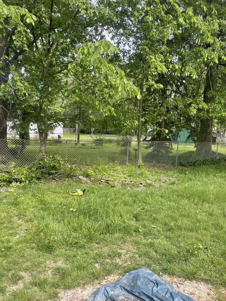 Professional lawn mowing service in South Euclid, OH by Shonmeka Knowles