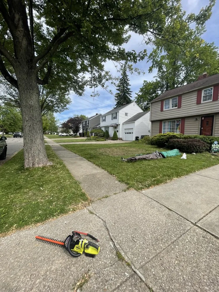 Local landscape design in South Euclid, OH - Shonmeka Knowles