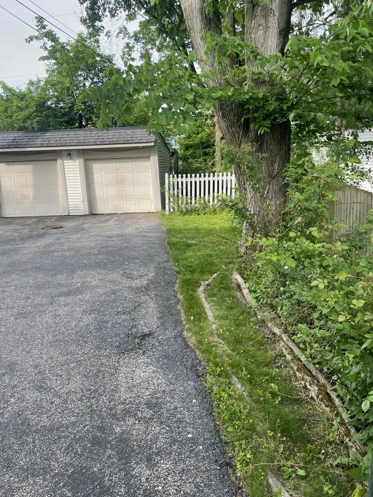 Affordable yard cleanup service for outdoor upgrades across South Euclid, OH - Shonmeka Knowles
