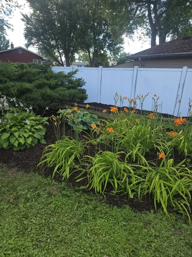 Expert lawn care service for year-round maintenance in Clinton, IA by Shon's Basic Labor