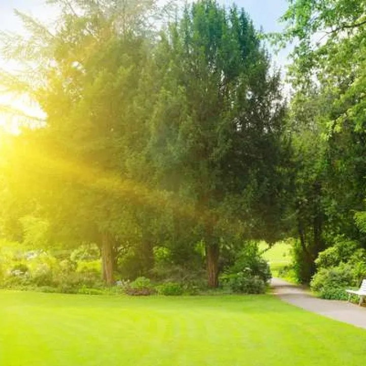 Trusted lawn mowing service in Clinton, IA by Shon's Basic Labor