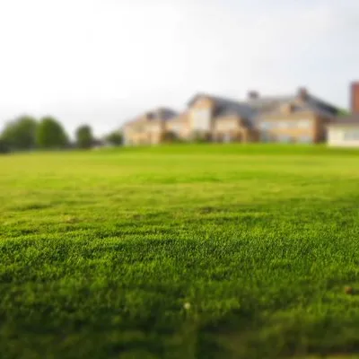 Shon's Basic Labor Logo