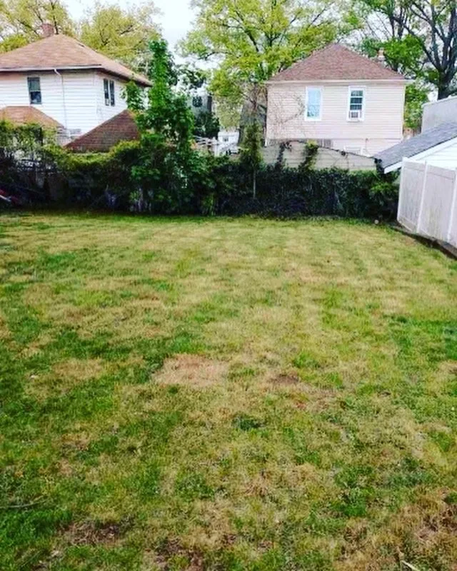 Expert lawn care service in Queens, NY - Shoobees Landscaping