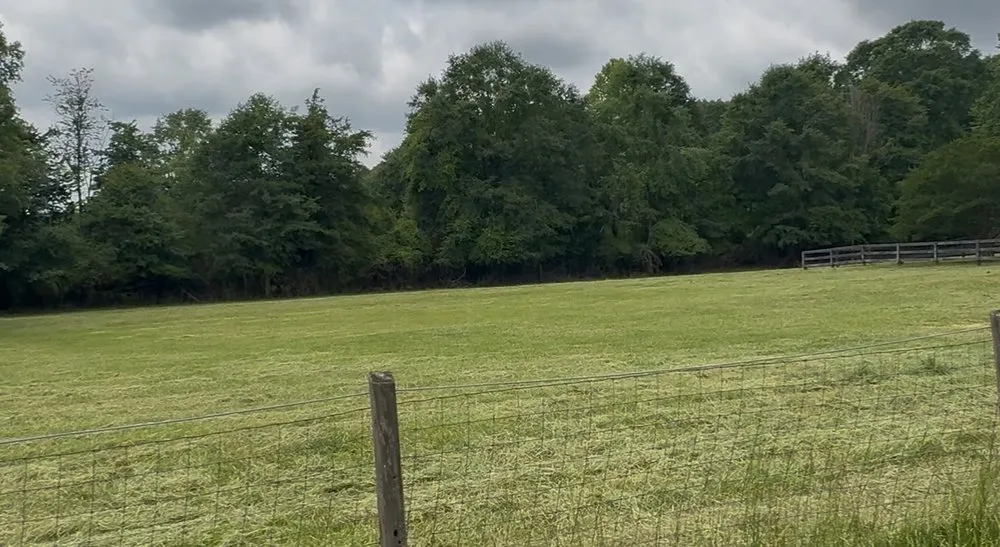 Local yard cleanup service experts serving Pelzer, SC - Shooks Landworks