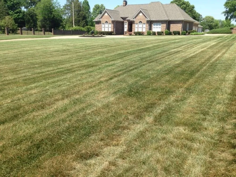 Professional residential landscaping for year-round maintenance in Greenville, SC by Shook's Property Maintenance