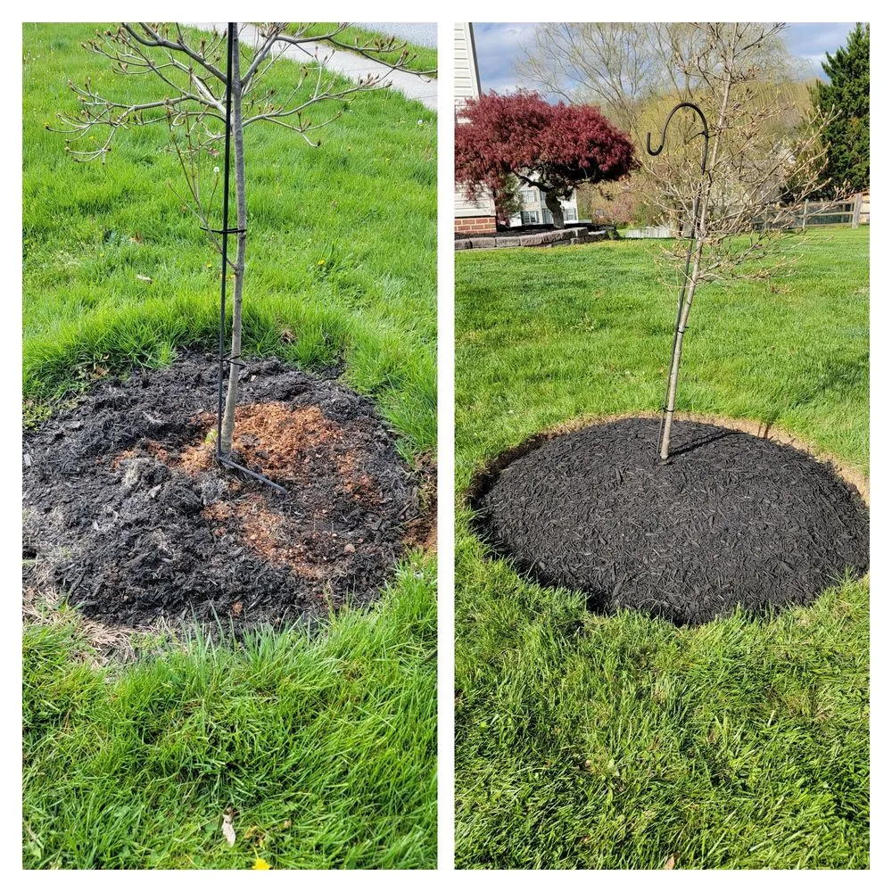 Reliable garden landscaping in Stewartstown, PA - Shoop's Services