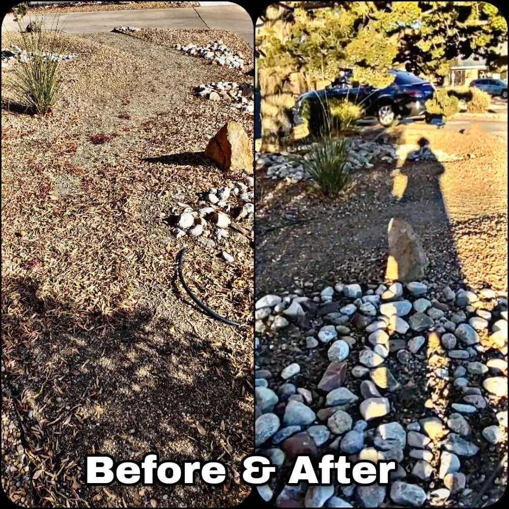Top-rated outdoor landscaping experts serving Albuquerque, NM - Shooting Sprouts Property Maintenance