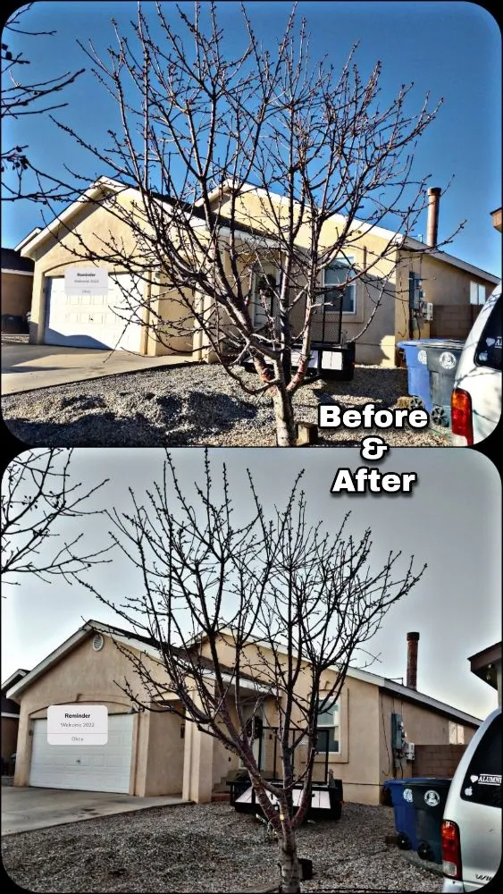 Top-rated landscaping services experts serving Albuquerque, NM - Shooting Sprouts Property Maintenance