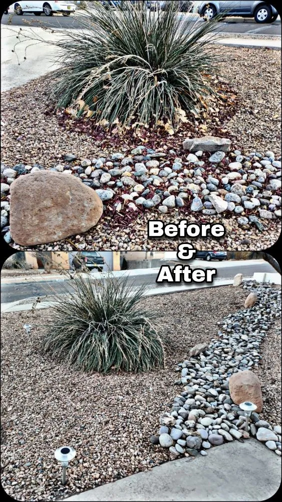 Local lawn care service in Albuquerque, NM - Shooting Sprouts Property Maintenance