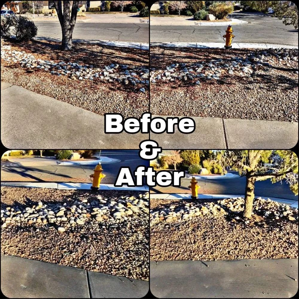 Top-rated yard cleanup service near you across Albuquerque, NM - Shooting Sprouts Property Maintenance