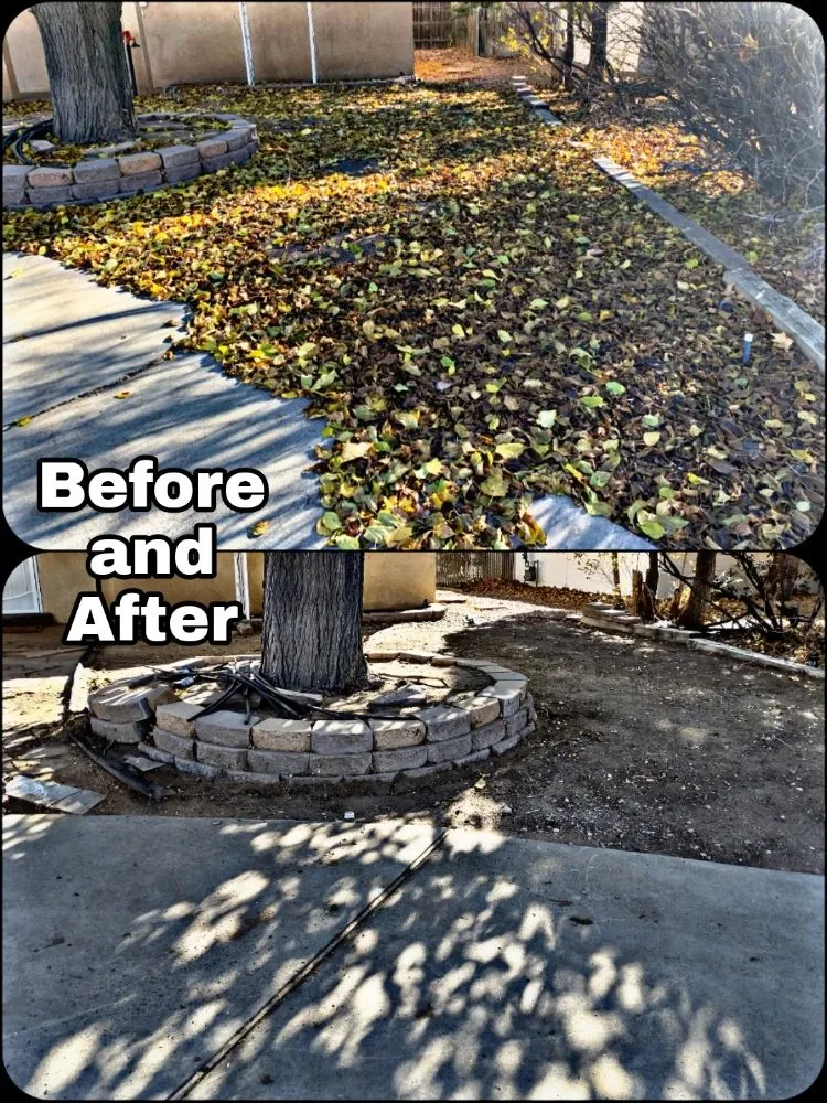 Affordable landscaping services in Albuquerque, NM - Shooting Sprouts Property Maintenance