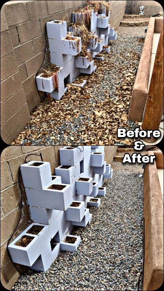 Affordable lawn mowing service in Albuquerque, NM by Shooting Sprouts Property Maintenance