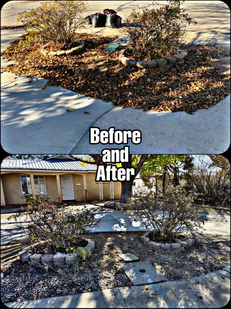 Custom landscaping services in Albuquerque, NM by Shooting Sprouts Property Maintenance