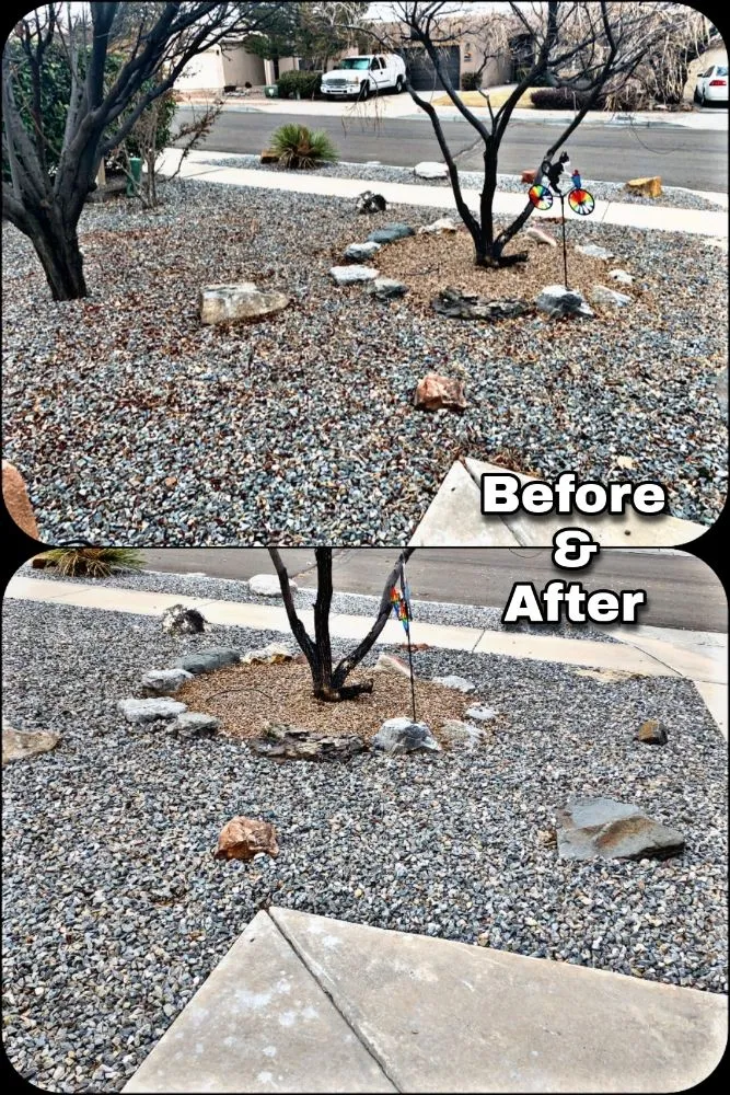 Local lawn care service for beautiful yards across Albuquerque, NM - Shooting Sprouts Property Maintenance