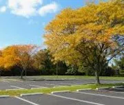 Trusted lawn mowing service in Tallahassee, FL - Shopping Center Maintenance