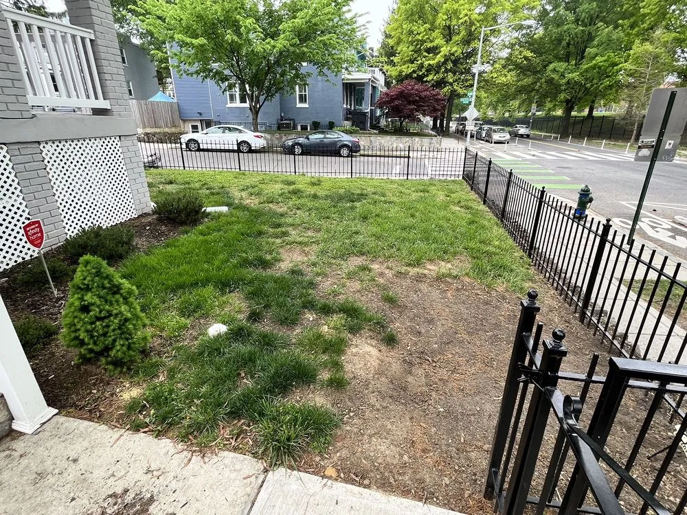 Reliable lawn mowing service in Kensington, MD by Shorb Landscaping