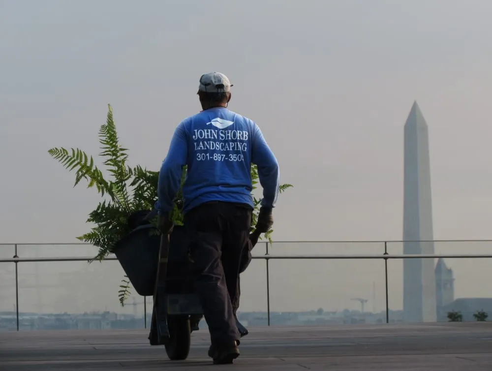 Trusted landscape installation with custom design in Kensington, MD by Shorb Landscaping