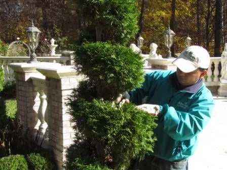 Trusted lawn care service in Kensington, MD by Shorb Landscaping