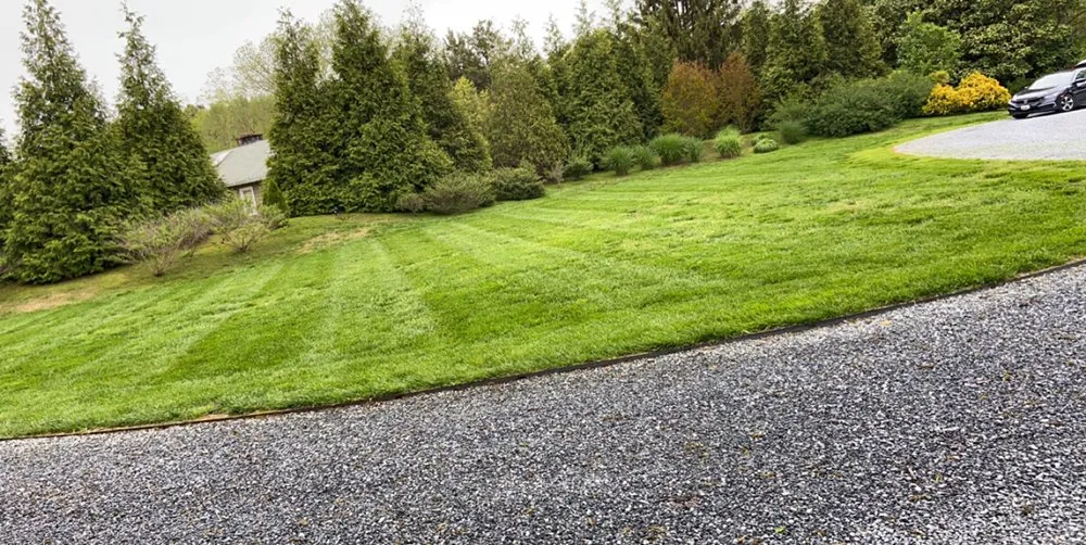Reliable landscaping services in Cambridge, MD - Shore Creations