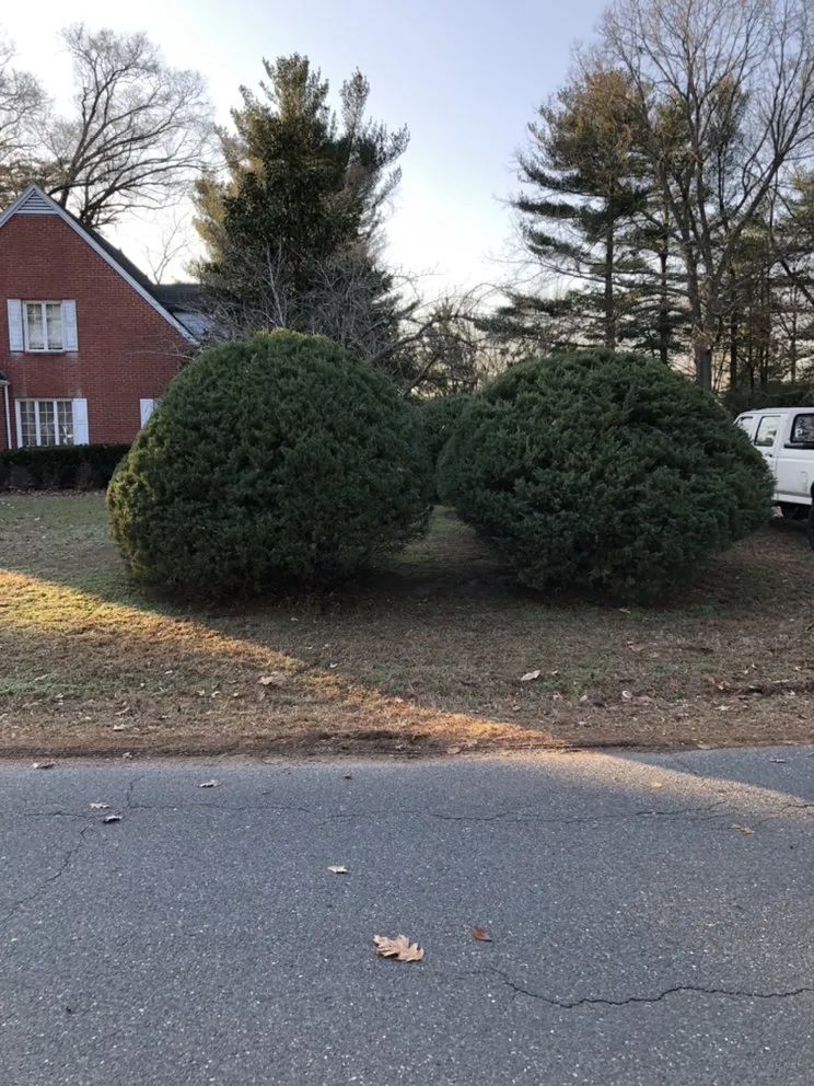 Expert outdoor landscaping experts serving Cambridge, MD - Shore Creations