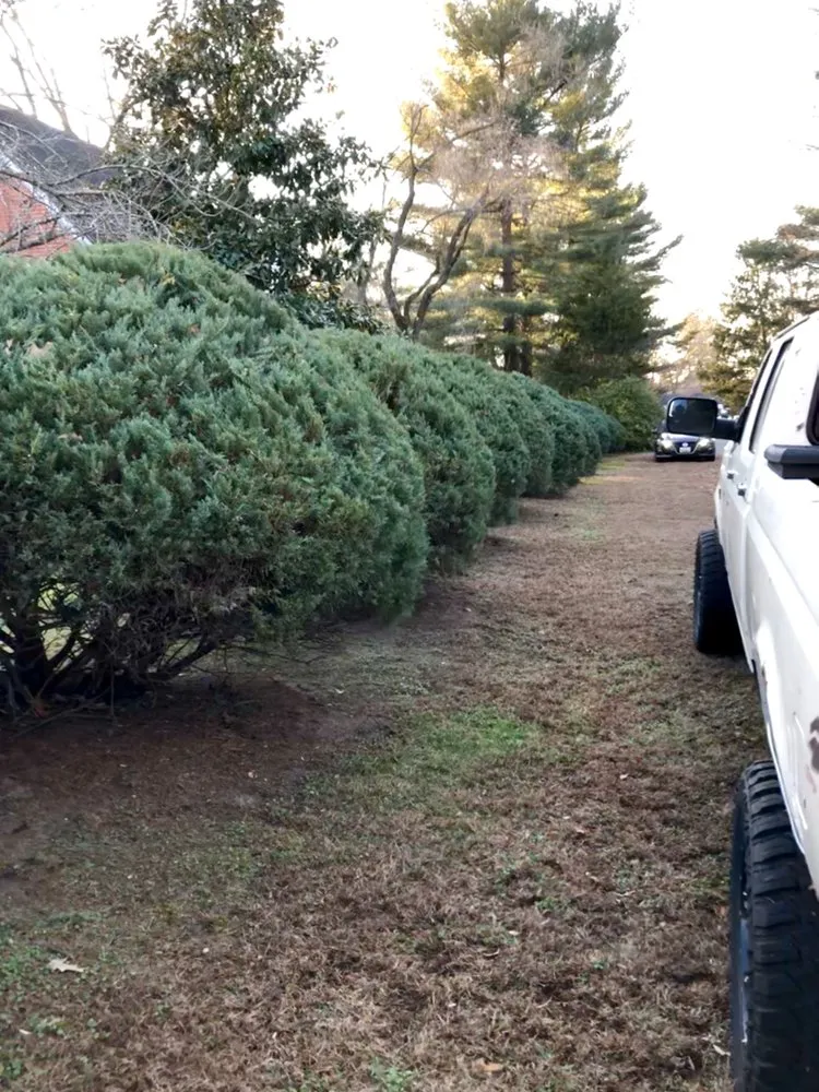 Top-rated garden landscaping in Cambridge, MD - Shore Creations