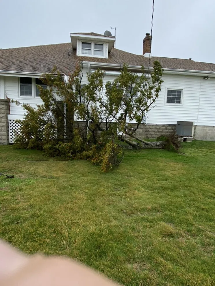 Custom lawn care service in Cambridge, MD - Shore Creations