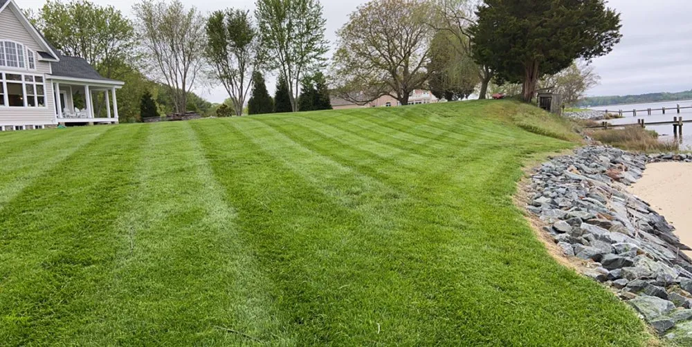 Professional yard maintenance in Cambridge, MD - Shore Creations