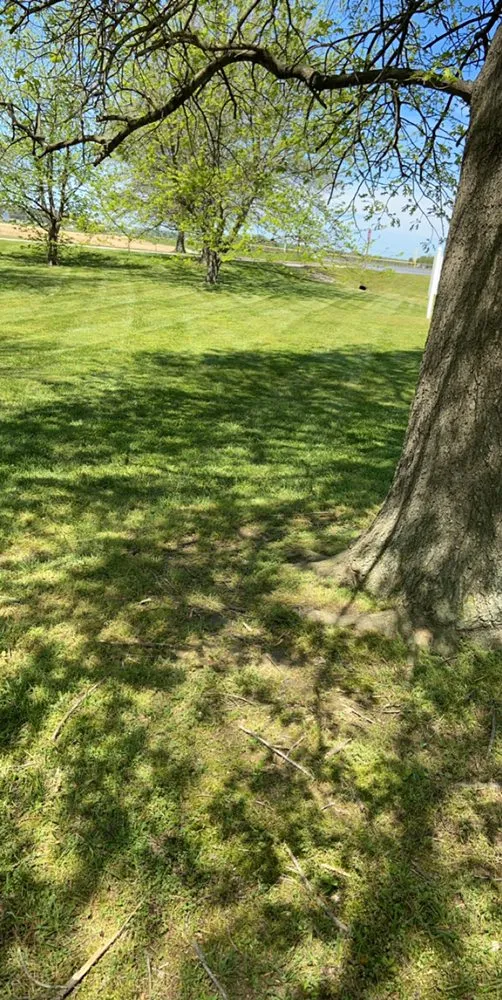 Professional garden landscaping in Cambridge, MD - Shore Creations