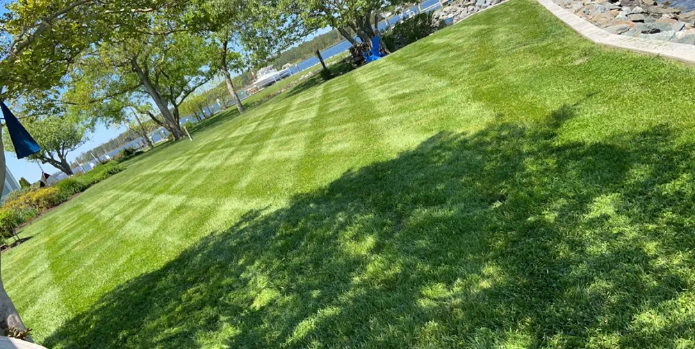 Affordable outdoor landscaping in Cambridge, MD by Shore Creations