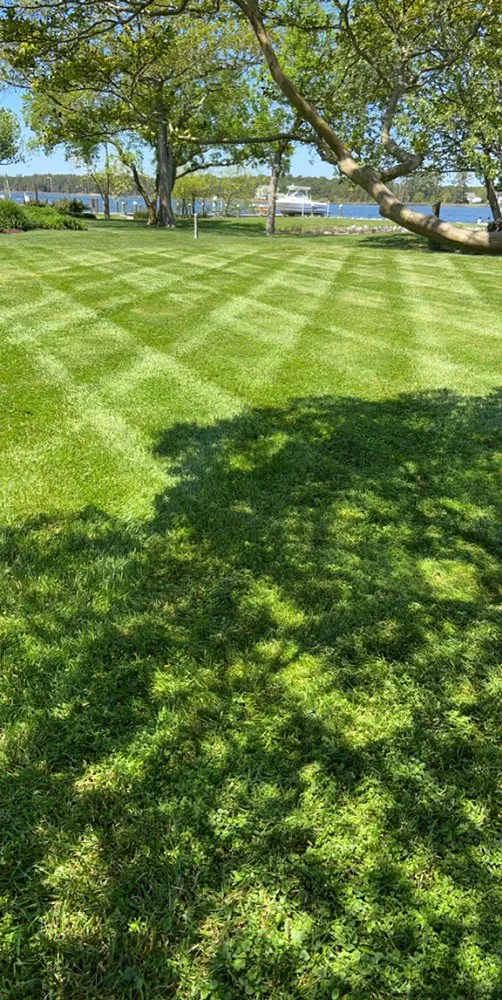 Expert lawn mowing service in Cambridge, MD by Shore Creations