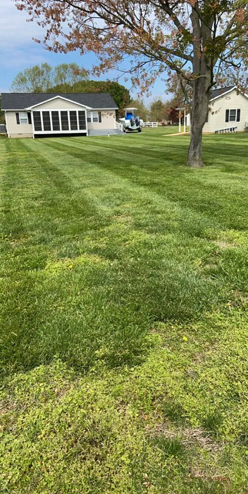 Trusted garden landscaping experts serving Cambridge, MD - Shore Creations