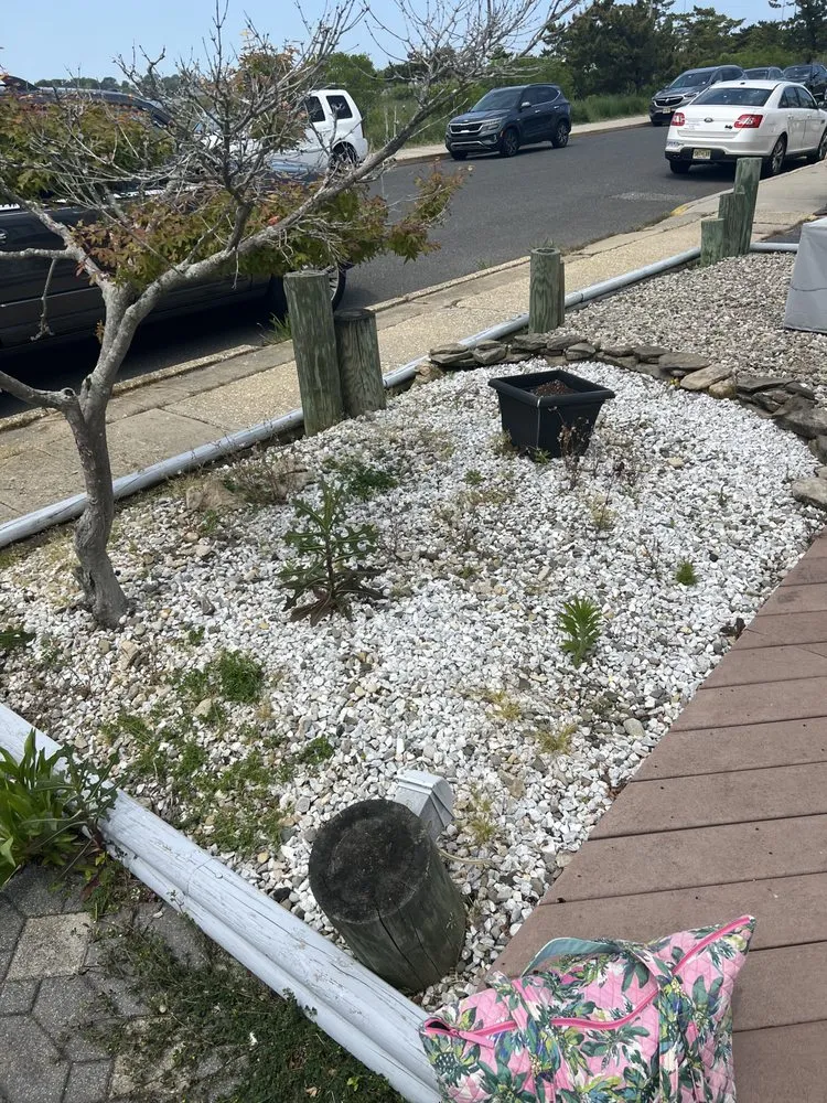 Reliable yard maintenance for year-round maintenance across Point Pleasant, NJ - Shore Disposal