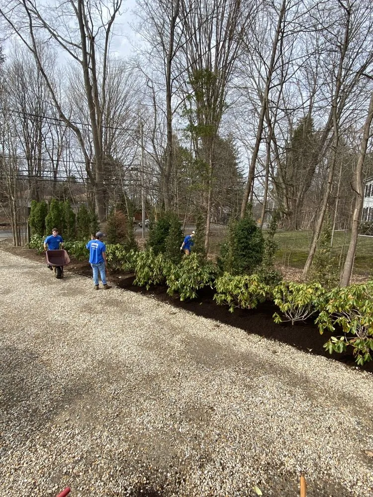 Trusted yard cleanup service in Manchester-by-the-Sea, MA by Shore Landscaping