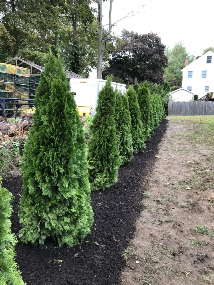 Expert landscape installation experts serving Manchester-by-the-Sea, MA - Shore Landscaping