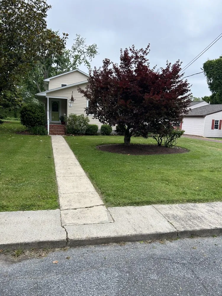 Custom landscape design for year-round maintenance in Vienna, MD by Shore Life Property Management