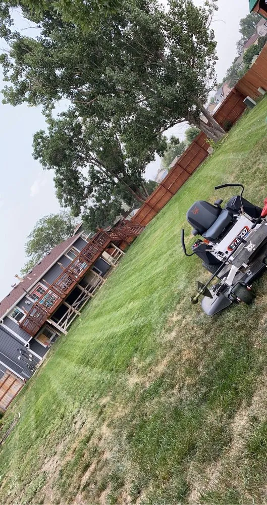 Professional garden landscaping for beautiful yards in Vienna, MD by Shore Life Property Management