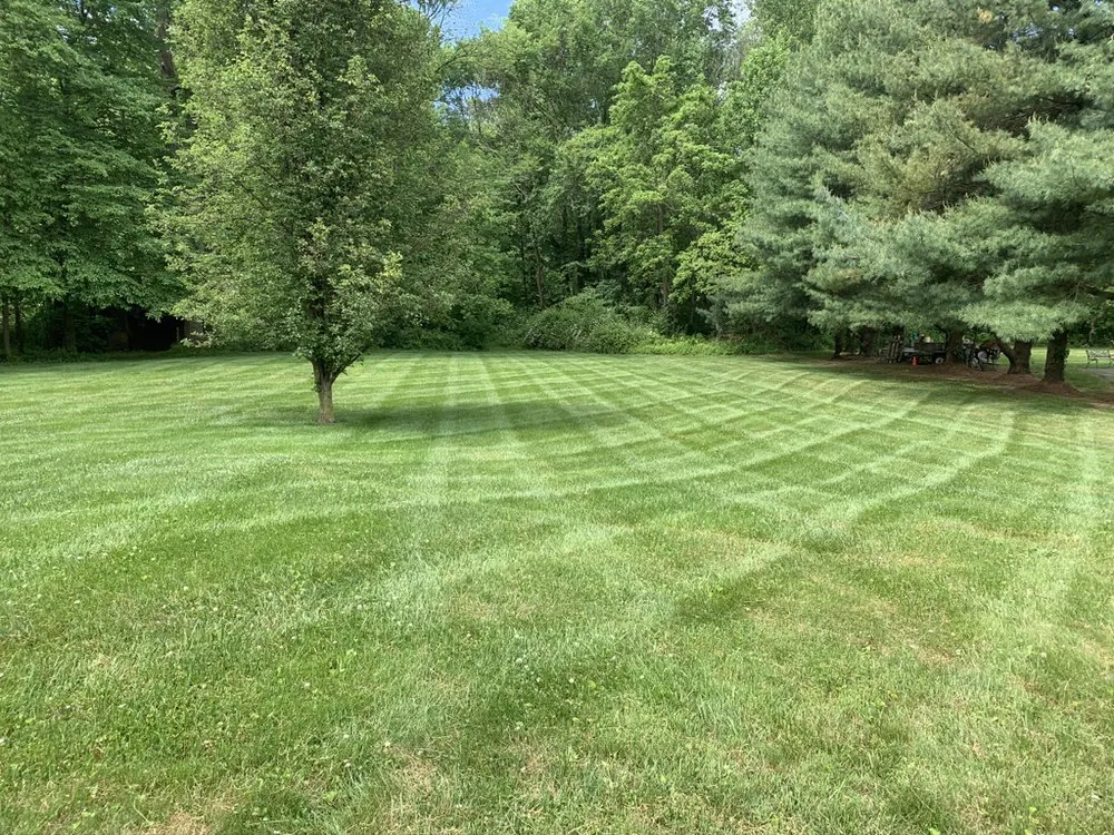 Affordable yard maintenance for homes in Elkton, MD by Shore Line Home Improvement