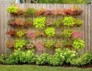 Professional yard maintenance for homes in Exmore, VA by Shore Point Property Services