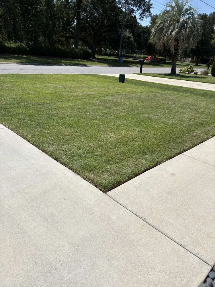 Affordable landscaping services experts serving Pensacola, FL - Shore Thing