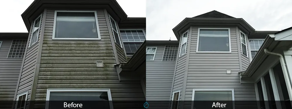 Top-rated landscape design in Commack, NY - Shore To Shore Landscaping