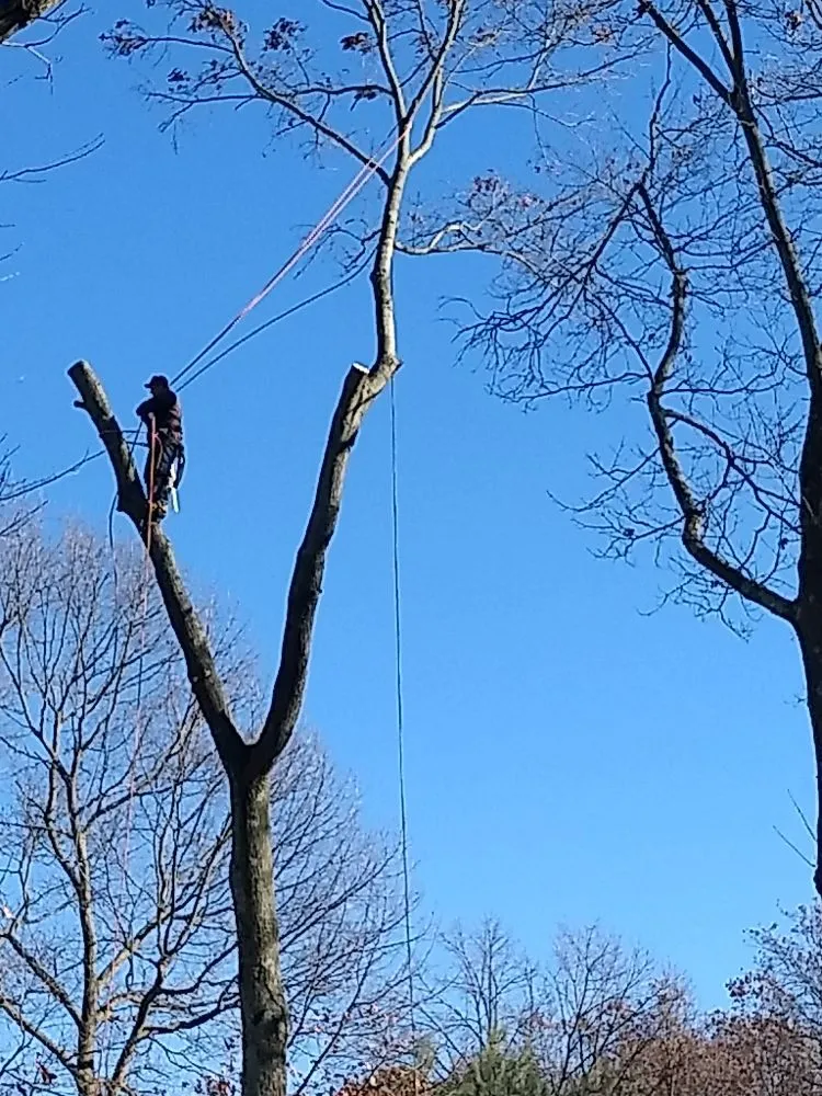 Expert yard maintenance in Commack, NY - Shore To Shore Landscaping